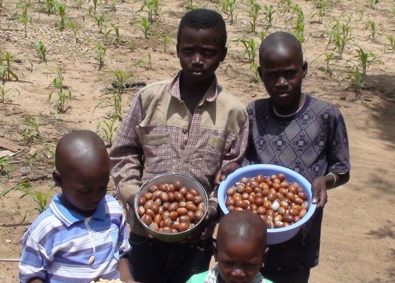 Children are forgotten entrepreneurs of the forest, says new CIFOR research