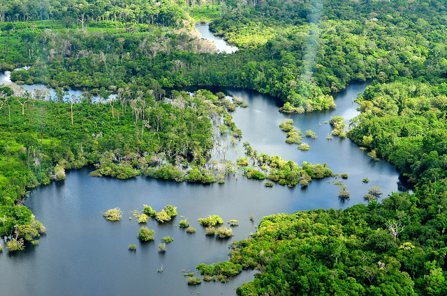 Latin America Forest News Updates — November/December 2011