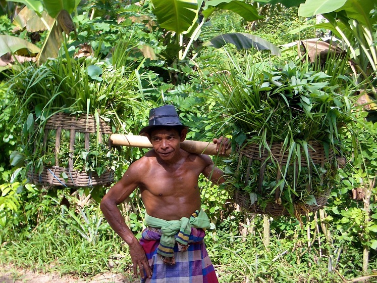 Masyarakat internasional perlu memberi ruang bagi negara berkembang mengelola kepemilikan REDD+