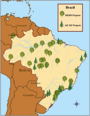 REDD map - Landscape Alliance Forests News