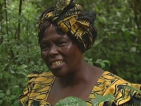 Global forest community commemorates the life and work of Wangari Mathaai, and she issues a final challenge