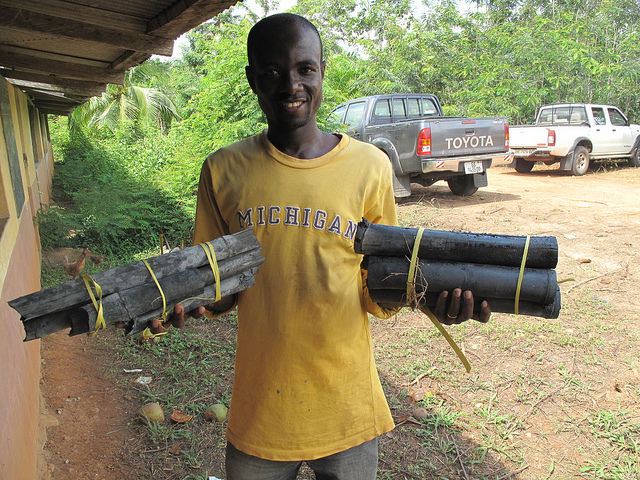 Undying flame: Replacing fuelwood with bamboo may help to combat Africa’s deforestation crisis