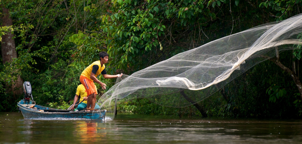 REDD+ needs to invest in alternative livelihoods before making carbon payments