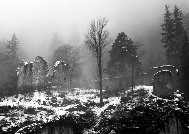 Booming trade: remnants of the Vietnam War still used as forest products