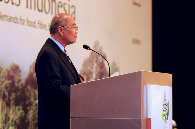 Indonesia to release improved moratorium map this week, chair of REDD+ task force says