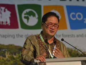 A day in the life of a REDD+ negotiator