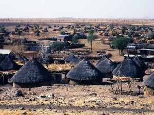 Gelombang deforestasi baru mengancam ketahanan iklim Afrika, menurut para ahli