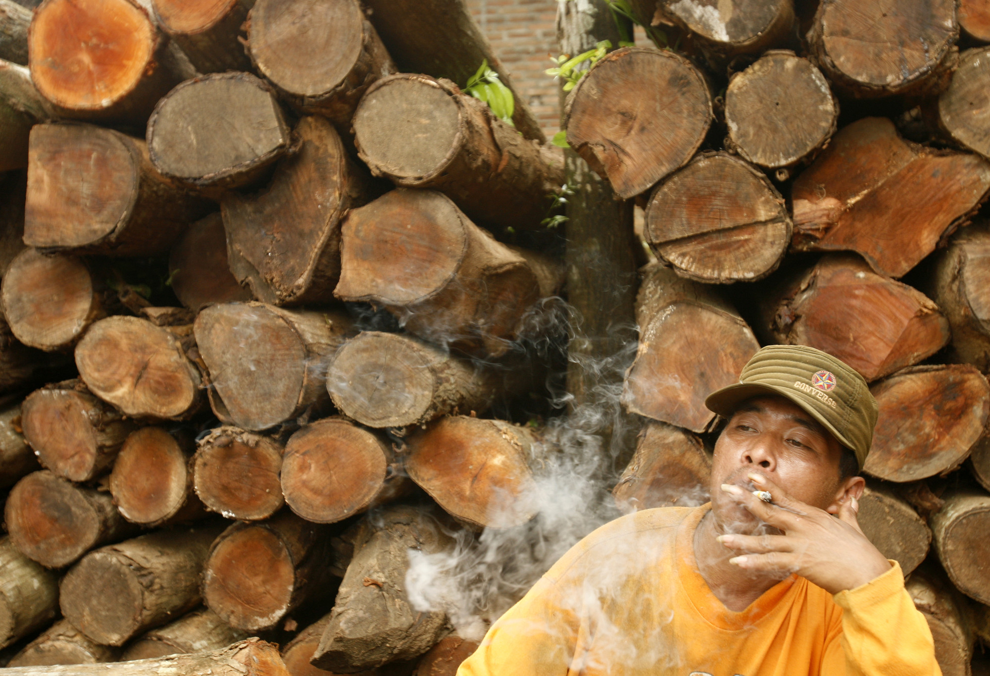 Peraturan baru memaksa perusahaan kayu mengubah praktek bisnis