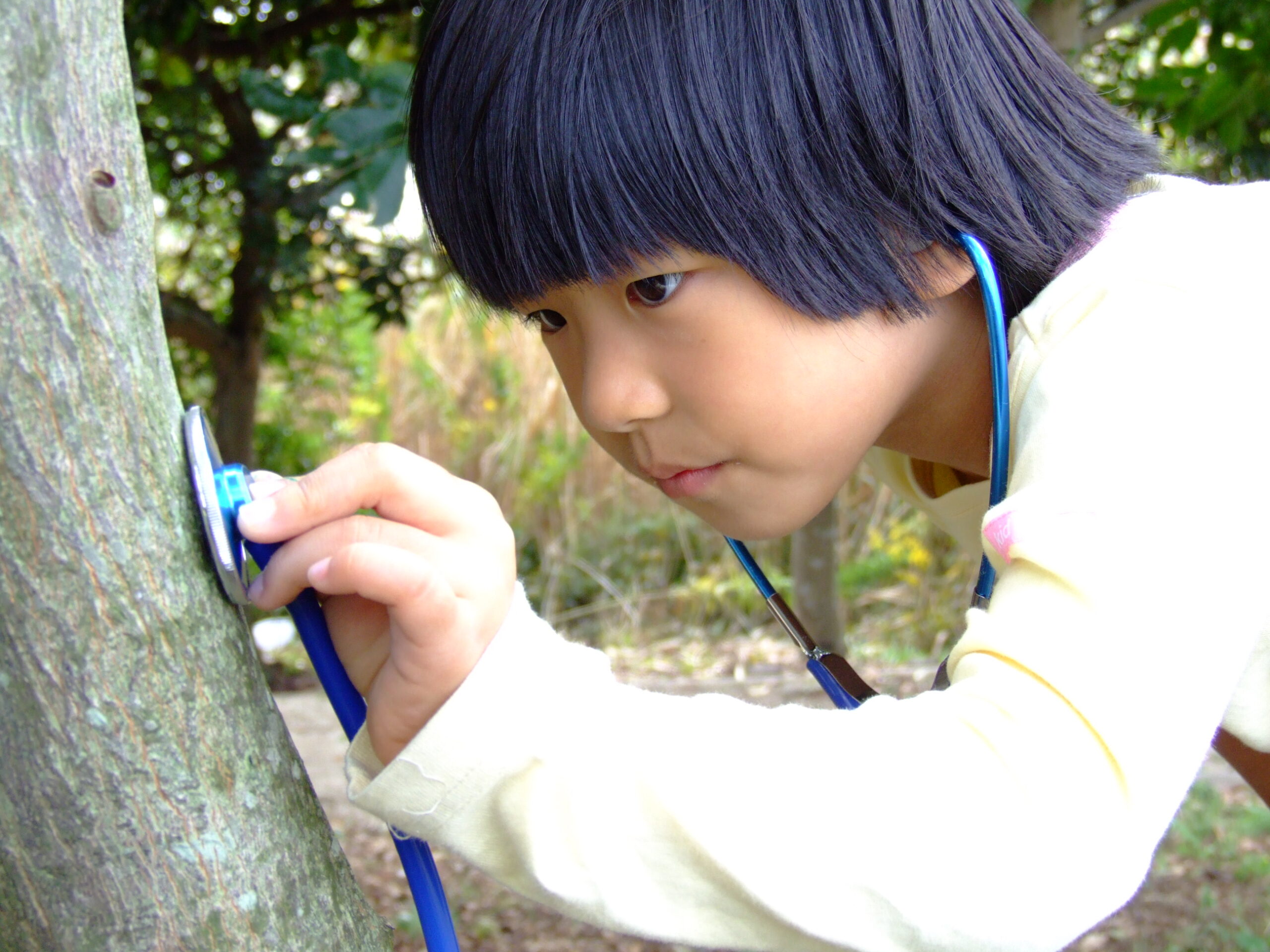 Menyelamatkan hutan hujan tropis dengan Stetoskop