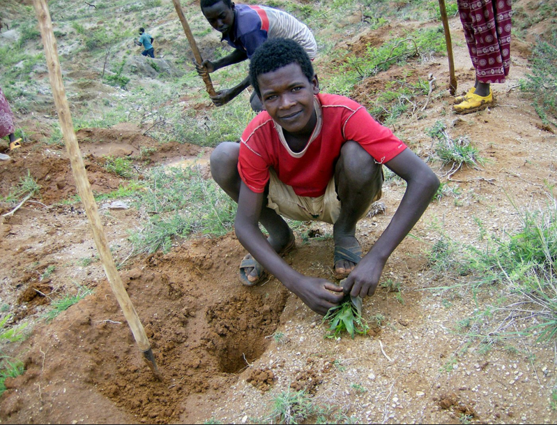 Ethiopia mendorong ekonomi hijau menjelang Rio+20 – hutan memegang peran utama
