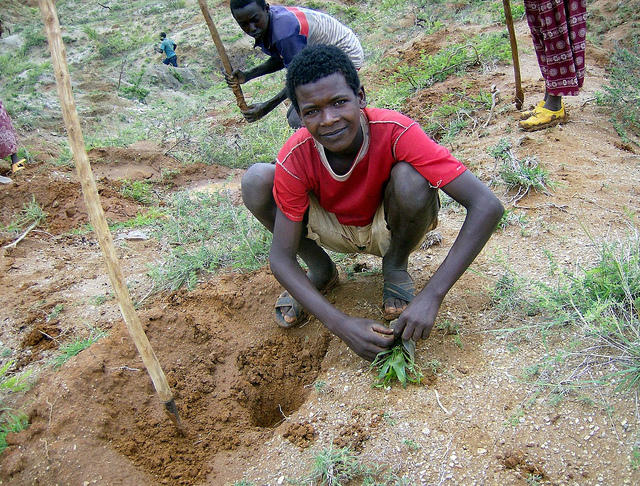 Ethiopia pushes for green economy ahead of Rio+20 — forests a major player