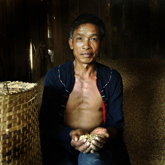 Cooperation between Lao farmers needed to meet market demands for food