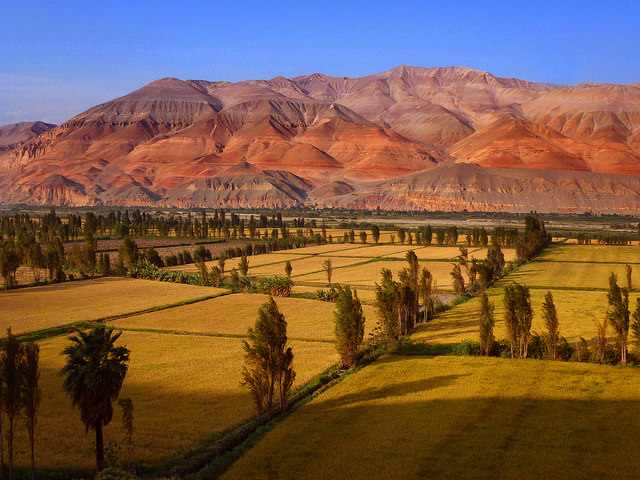 Leaders Push for REDD+ as Countdown Begins