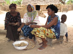 El gran reto de REDD+: Aclarar los derechos sobre las tierras forestales