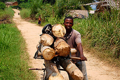 Woodfuel causes deforestation in Congo Basin yet is potential renewable energy source