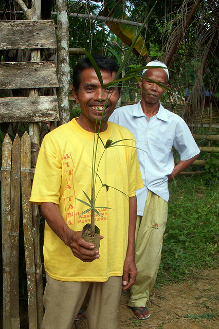 Program kampung iklim: pemetaan inisiatif lokal ke tingkat nasional