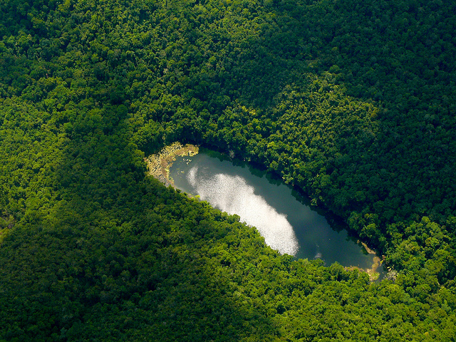 The Letter of Intent that prompted a tectonic shift in the dialogue about Indonesia’s forests: An interview with CIFOR’s DG