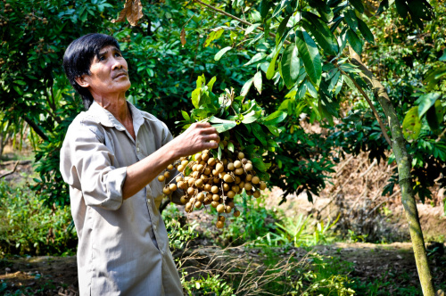 Equitable benefit sharing and better monitoring needed for REDD+ success in Vietnam
