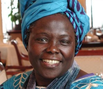 New environment award recognises peace prize winner Wangari Maathai