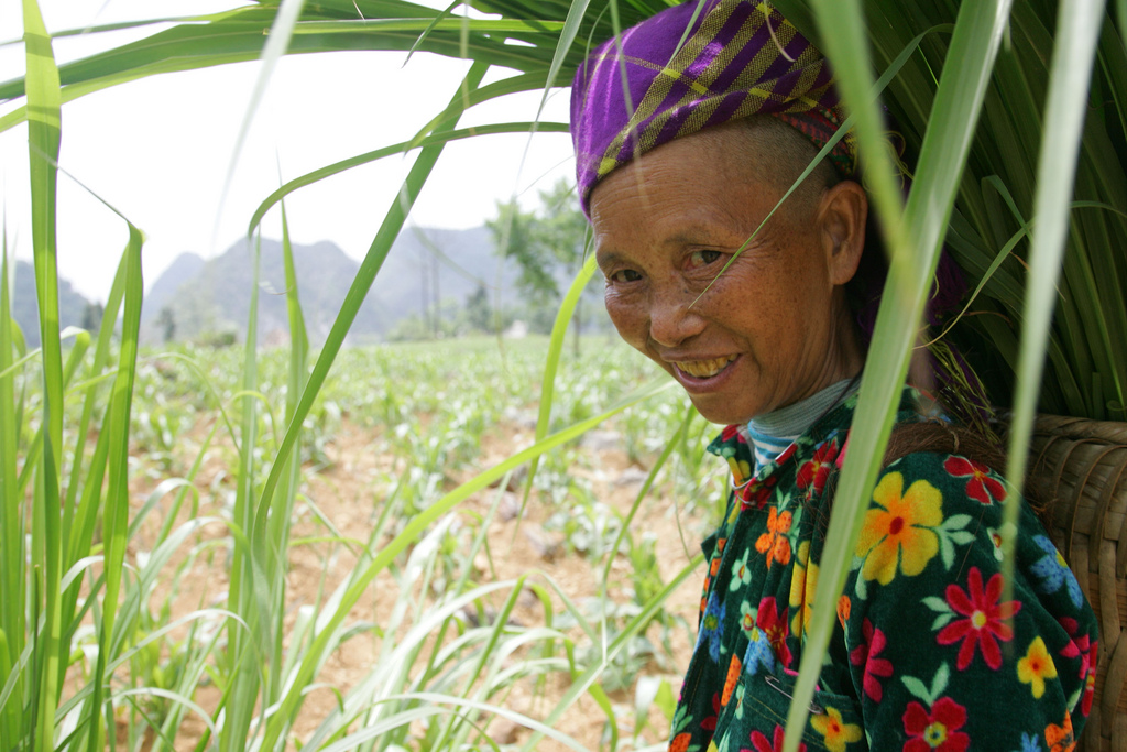 The “Aid-ification” of REDD+: How its changed and why it matters