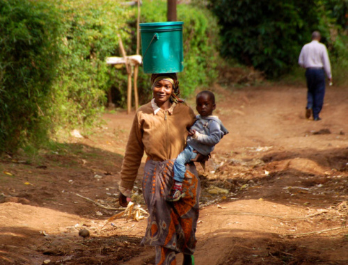 Adaptation research needed to fill gaps on forests’ roles beyond local level