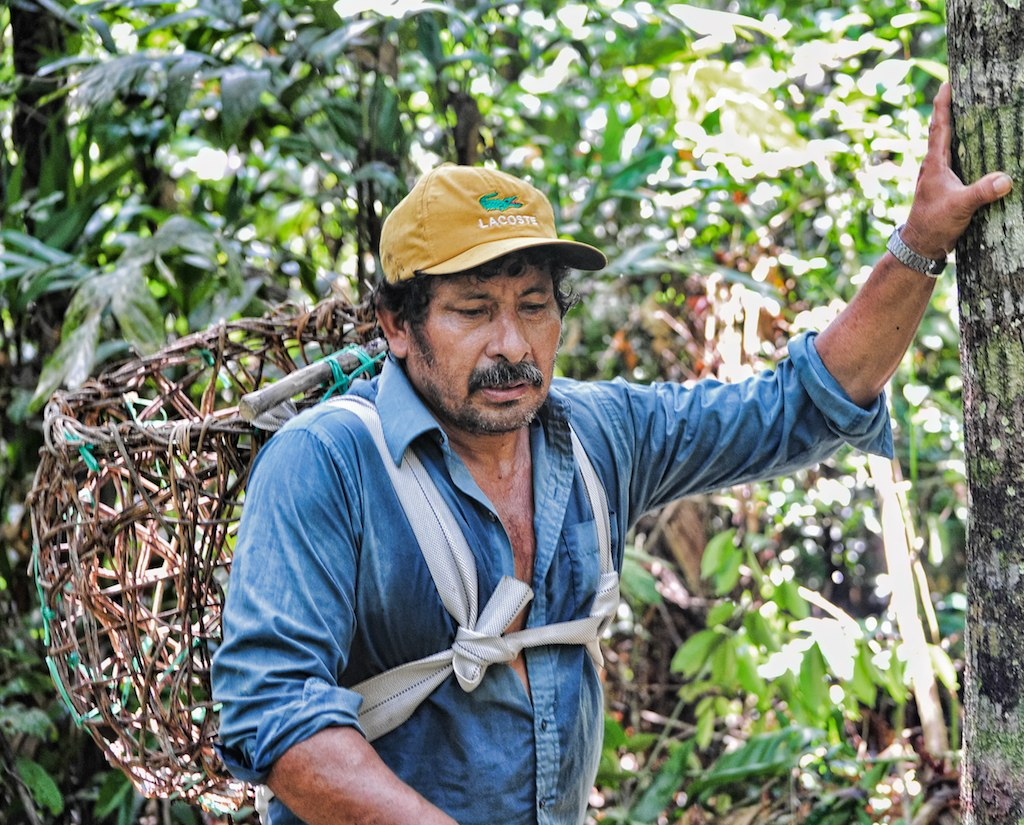 Communities are not companies: New approach needed for community managed forests