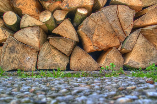 Is REDD+ moving too slow? Not necessarily…