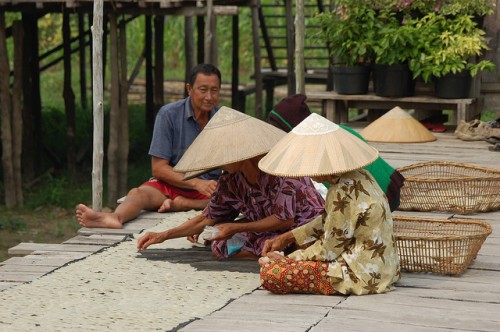 Kalimantan Timur akan Uji Coba Sistem Safeguards REDD+