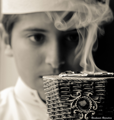 Farmers, policymakers get how-to guide on frankincense production