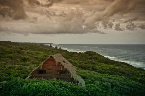 Mozambique resists external pressures and drafts own REDD+ strategy