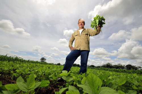 Soybeans and forests in Brazil’s Arc of Deforestation: A temporary truce?