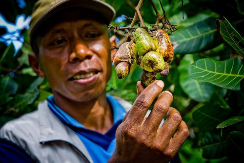 Kalimantan Timur akan Uji Coba Sistem Safeguards REDD+