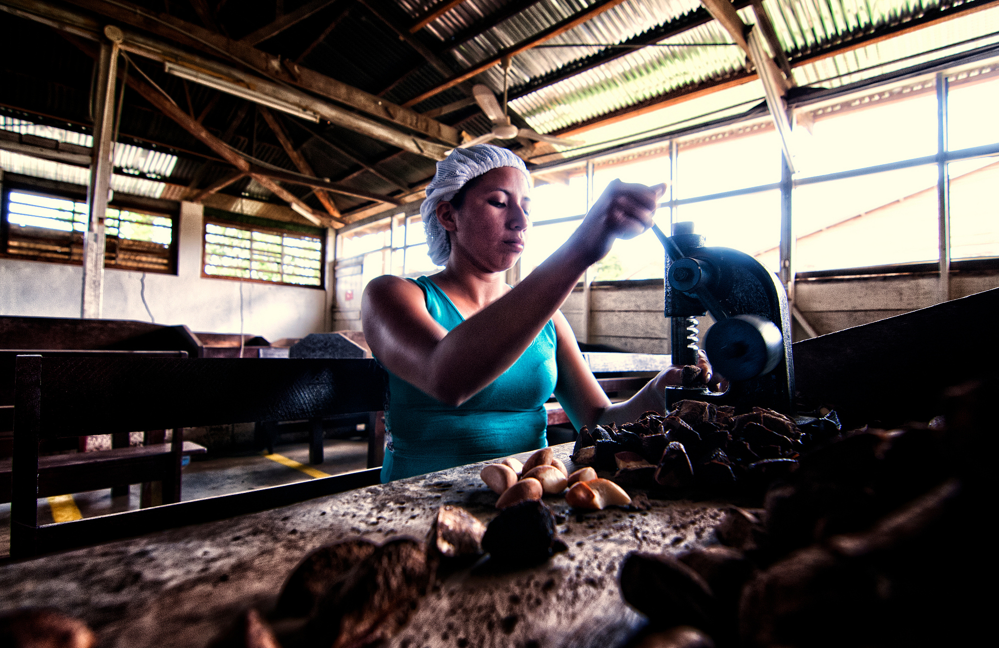 ¿Puede REDD+ proteger los árboles que dan sustento a los recolectores de castaña en el bosque amazónico del Perú?