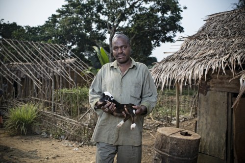 Up the river & paddling hard: Climate adaptation & mitigation in the Congo