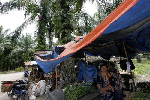 Adaptasi perubahan iklim perlu belajar dari pengalaman nyata