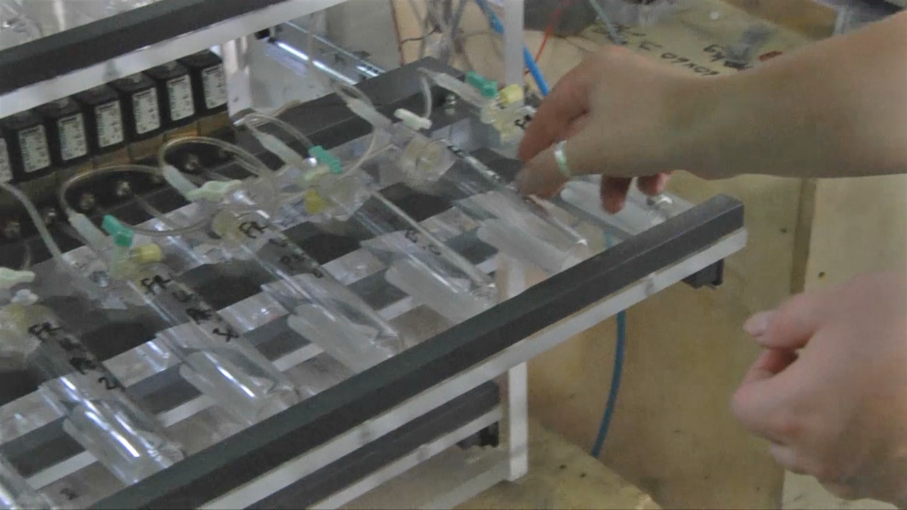 The ‘big story is carbon’, but more research needed on forgotten greenhouse gases found in peat, says expert