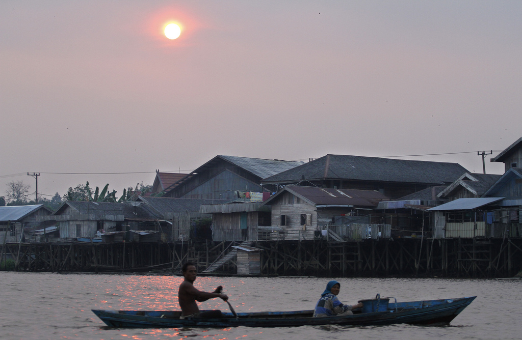 Indonesia and REDD+: Moving beyond carbon to sustainable development