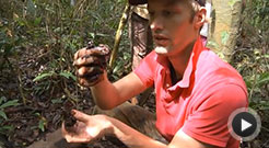 Exploring the world’s richest pools of carbon
