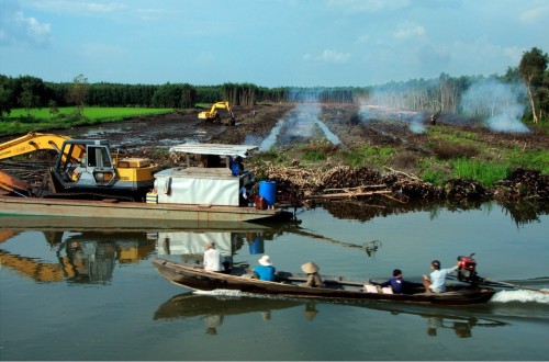 Degradasi: D yang terlupakan dalam REDD+