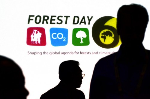 “Keluar dari hutan” untuk menyelamatkan pohon