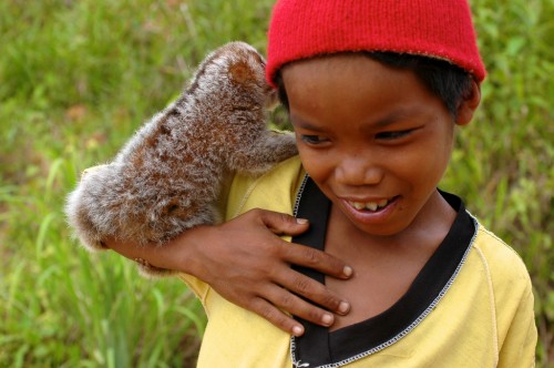 Kemajuan REDD+ di Doha lambat bila pemahaman kaitan karbon, biodiversitas, dan masyarakat belum baik