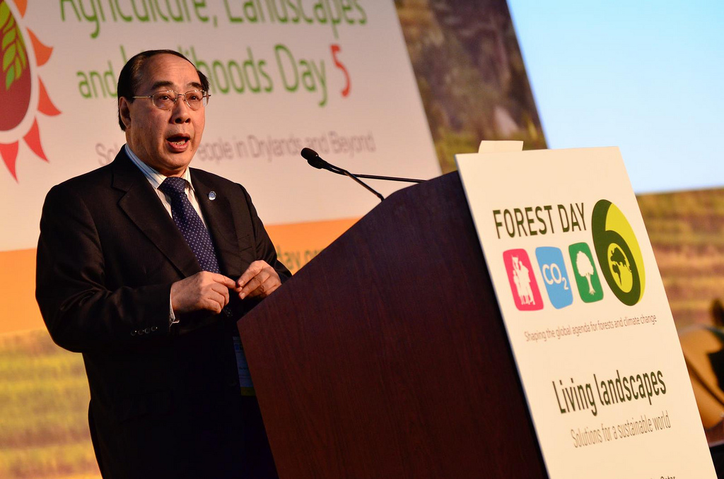 PBB: Hutan berperan penting dalam agenda pembangunan berkelanjutan global