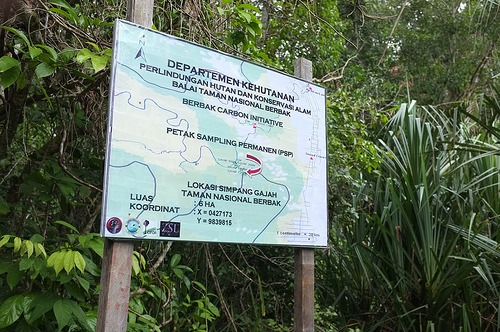 Menjelajahi tampungan karbon terluas di dunia