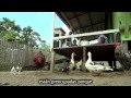 Tenencia de la Tierra y REDD+