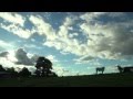 Lecciones de la Amazonia