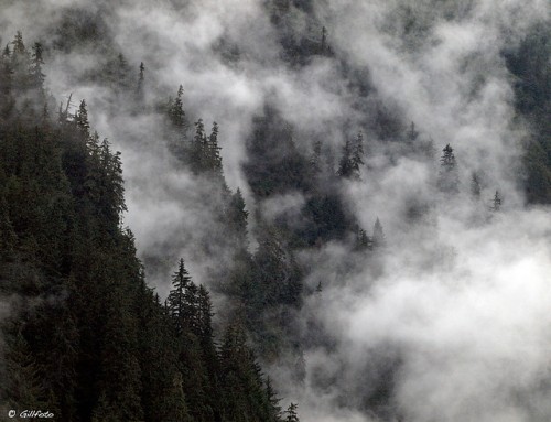 Hutan pembuat hujan: Dukungan bagi peneliti CIFOR untuk suatu hipotesis kontroversial