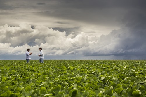 How to address new biofuel challenges when impacts on environment and society are ‘mixed’