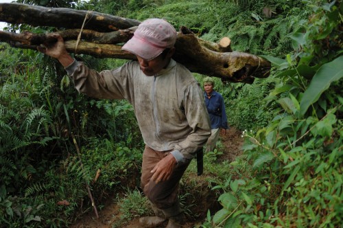 Some communities in Indonesia have clashed with timber concession holders over rights to the same plots of land. Aulia Erlangga/CIFOR