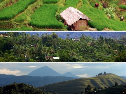 Mempertahankan identitas hutan di tengah tantangan global