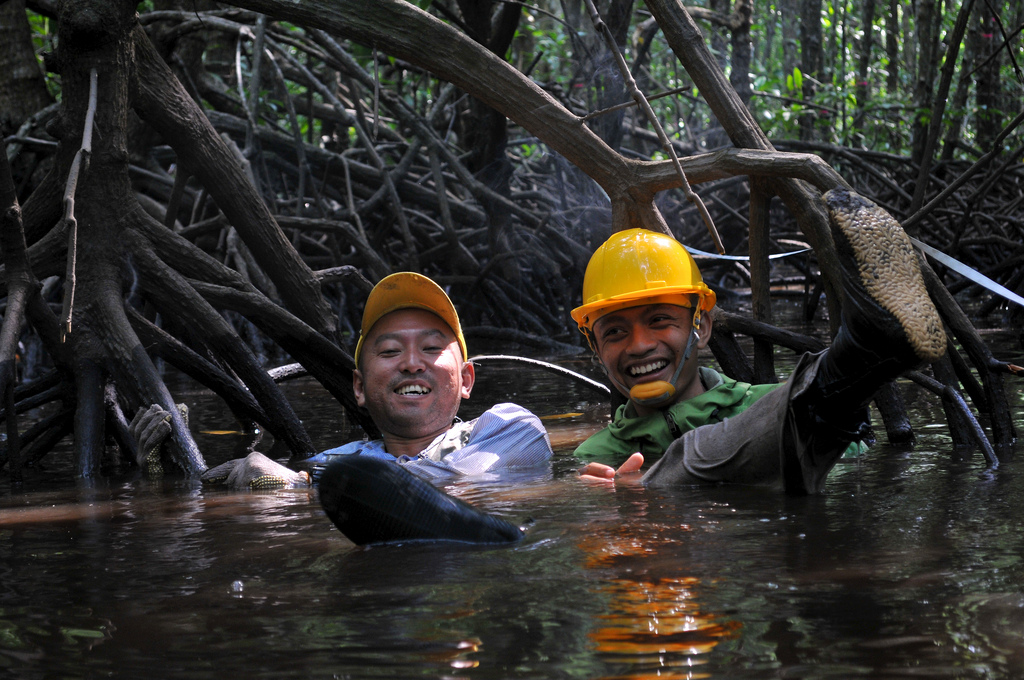 Kartu pos dari Kubu Raya: Lumpur, lumpur, mangrove yang masyhur